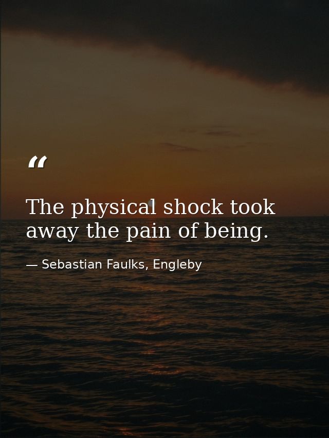 The physical shock took away the pain of being. — Sebastian Faulks, Engleby