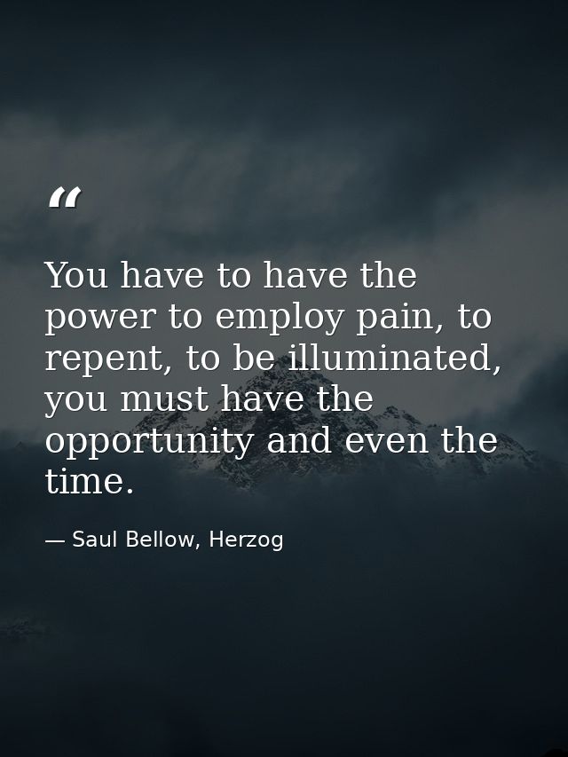 You have to have the power to employ pain, to repent, to be illuminated, you must have the opportunity and even the time — Saul Bellow, Herzog