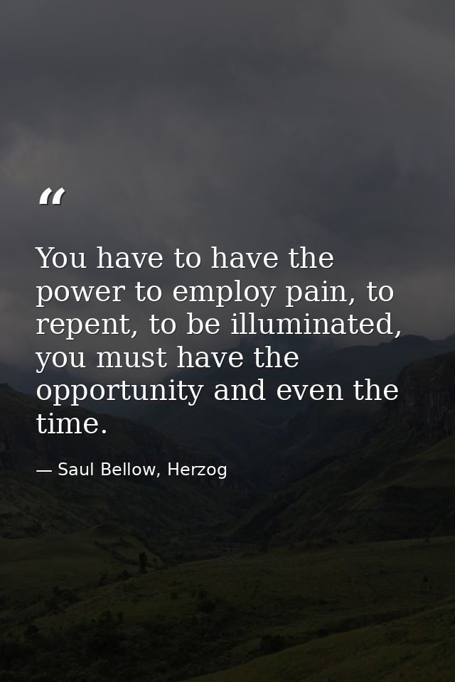 You have to have the power to employ pain, to repent, to be illuminated, you must have the opportunity and even the time — Saul Bellow, Herzog
