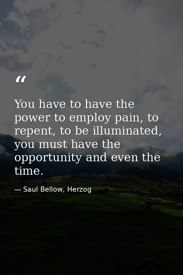 You have to have the power to employ pain, to repent, to be illuminated, you must have the opportunity and even the time — Saul Bellow, Herzog