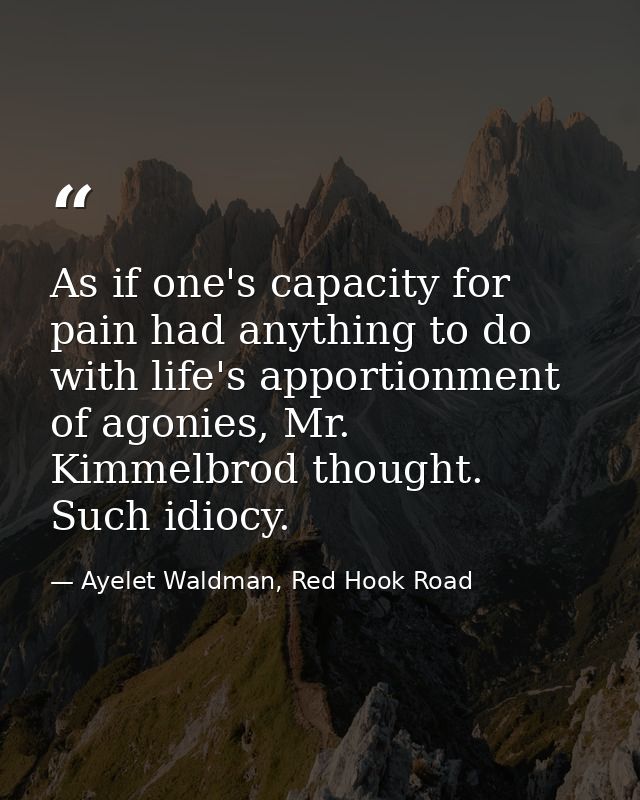 As if one's capacity for pain had anything to do with life's apportionment of agonies, Mr. Kimmelbrod thought. Such idio — Ayelet Waldman, Red Hook Road