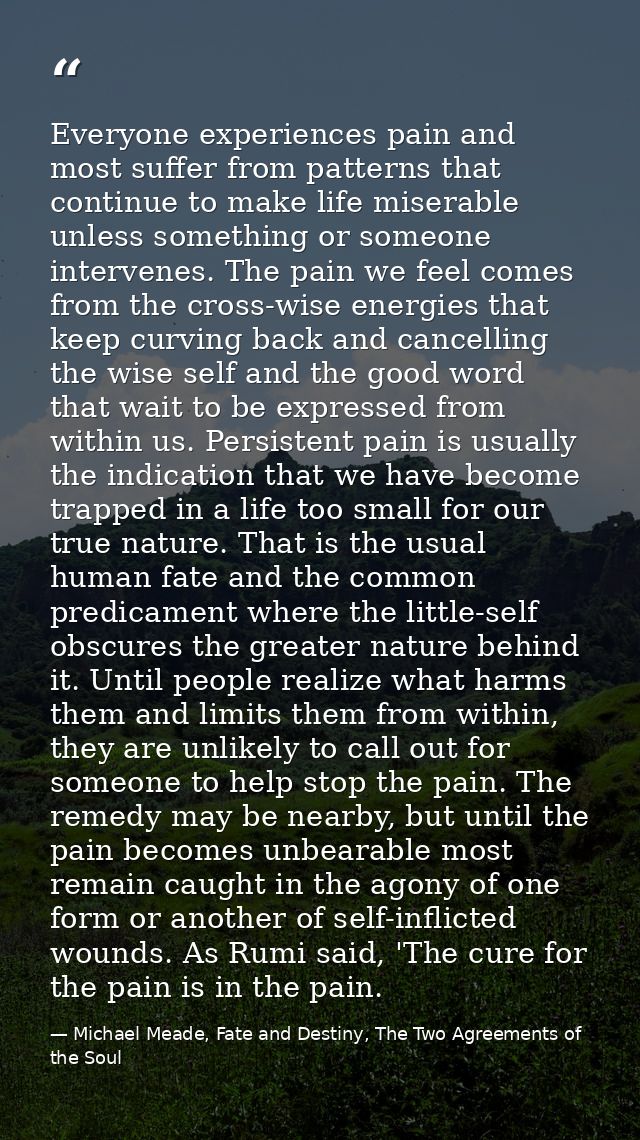 Everyone experiences pain and most suffer from patterns that continue to make life miserable unless something or someone — Michael Meade, Fate and Destiny, The Two Agreements of the Soul