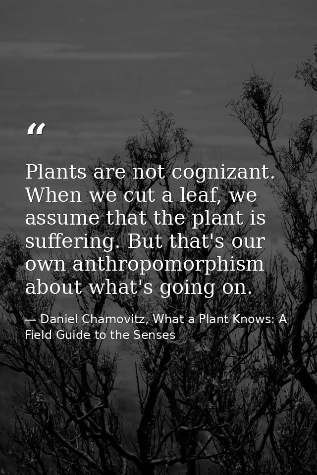 Plants are not cognizant. When we cut a leaf, we assume that the plant is suffering. But that's our own anthropomorphism — Daniel Chamovitz, What a Plant Knows: A Field Guide to the Senses