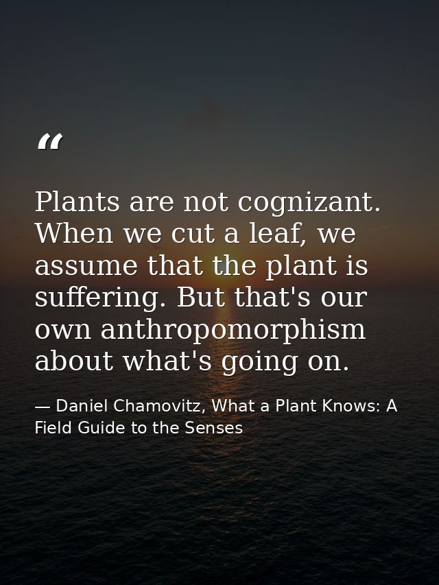 Plants are not cognizant. When we cut a leaf, we assume that the plant is suffering. But that's our own anthropomorphism — Daniel Chamovitz, What a Plant Knows: A Field Guide to the Senses