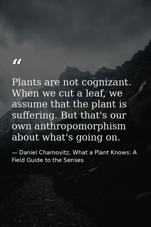 Plants are not cognizant. When we cut a leaf, we assume that the plant is suffering. But that's our own anthropomorphism — Daniel Chamovitz, What a Plant Knows: A Field Guide to the Senses