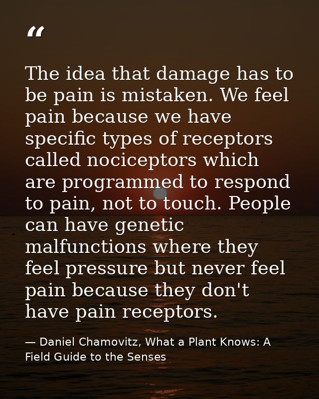 The idea that damage has to be pain is mistaken. We feel pain because we have specific types of receptors called nocicep — Daniel Chamovitz, What a Plant Knows: A Field Guide to the Senses