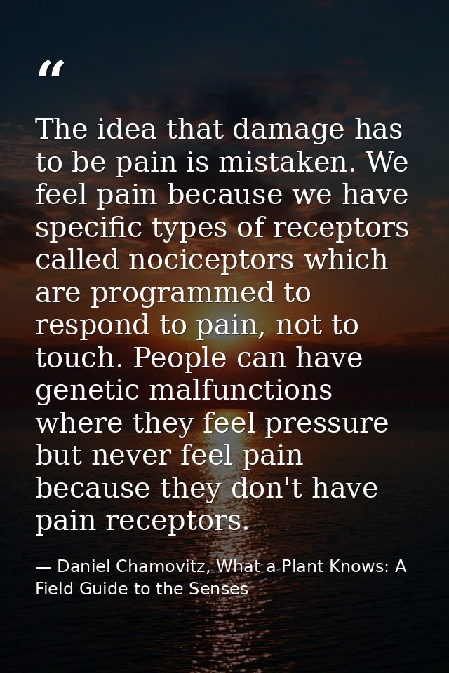 The idea that damage has to be pain is mistaken. We feel pain because we have specific types of receptors called nocicep — Daniel Chamovitz, What a Plant Knows: A Field Guide to the Senses