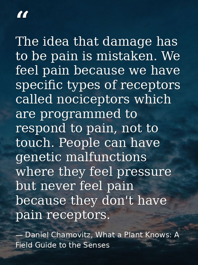 The idea that damage has to be pain is mistaken. We feel pain because we have specific types of receptors called nocicep — Daniel Chamovitz, What a Plant Knows: A Field Guide to the Senses