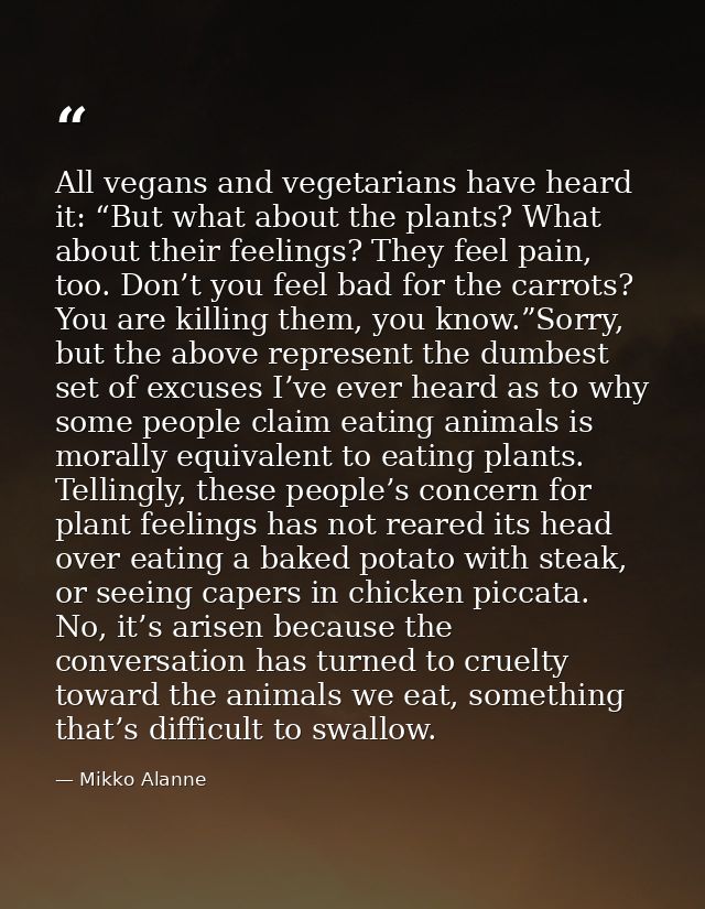 All vegans and vegetarians have heard it: “But what about the plants? What about their feelings? They feel pain, too. Do — Mikko Alanne