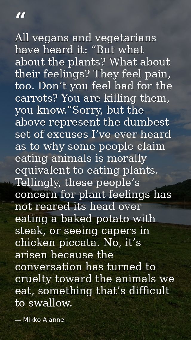All vegans and vegetarians have heard it: “But what about the plants? What about their feelings? They feel pain, too. Do — Mikko Alanne