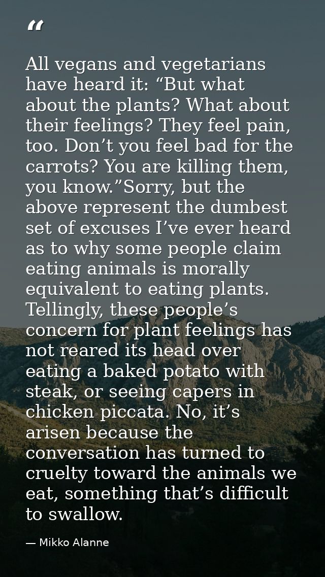 All vegans and vegetarians have heard it: “But what about the plants? What about their feelings? They feel pain, too. Do — Mikko Alanne