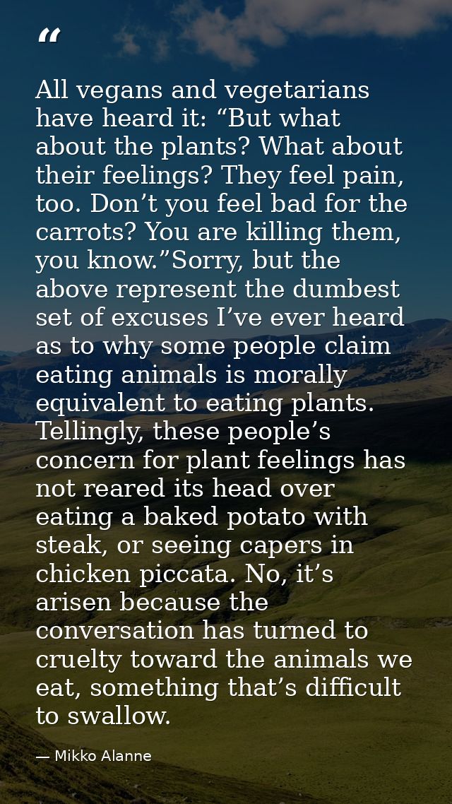All vegans and vegetarians have heard it: “But what about the plants? What about their feelings? They feel pain, too. Do — Mikko Alanne