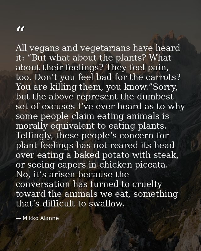 All vegans and vegetarians have heard it: “But what about the plants? What about their feelings? They feel pain, too. Do — Mikko Alanne