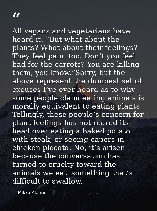All vegans and vegetarians have heard it: “But what about the plants? What about their feelings? They feel pain, too. Do — Mikko Alanne