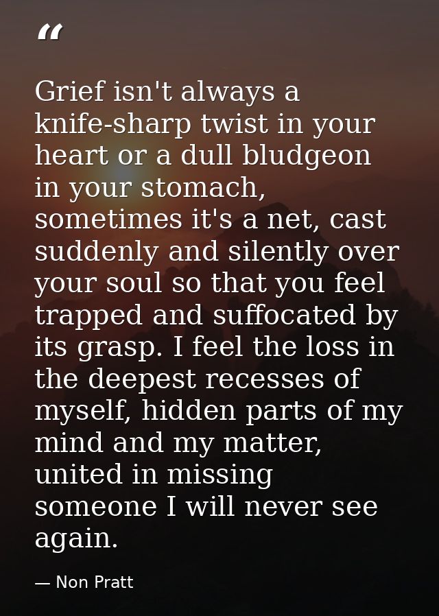 Grief isn't always a knife-sharp twist in your heart or a dull bludgeon in your stomach, sometimes it's a net, cast sudd — Non Pratt