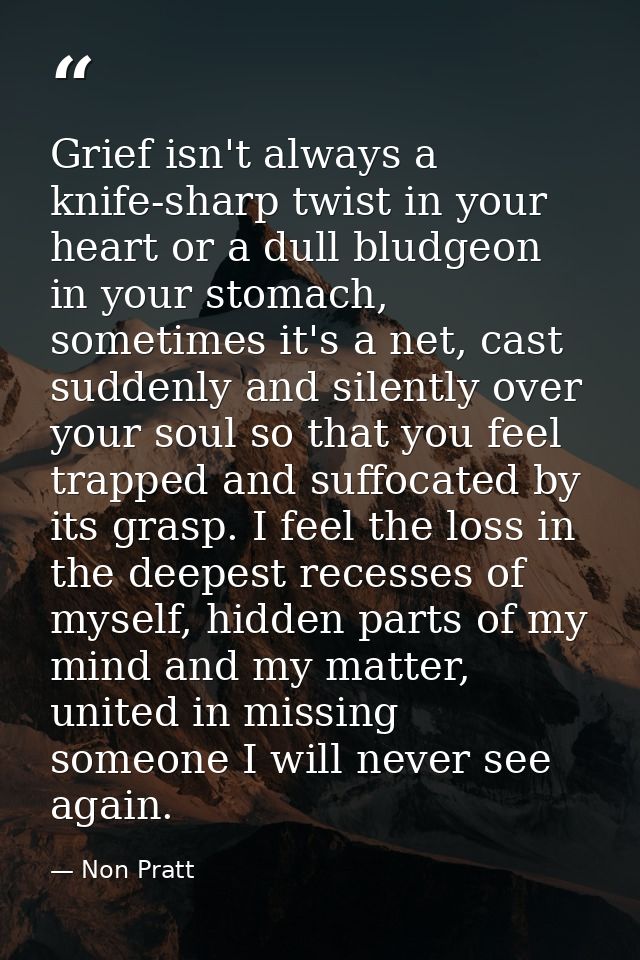 Grief isn't always a knife-sharp twist in your heart or a dull bludgeon in your stomach, sometimes it's a net, cast sudd — Non Pratt