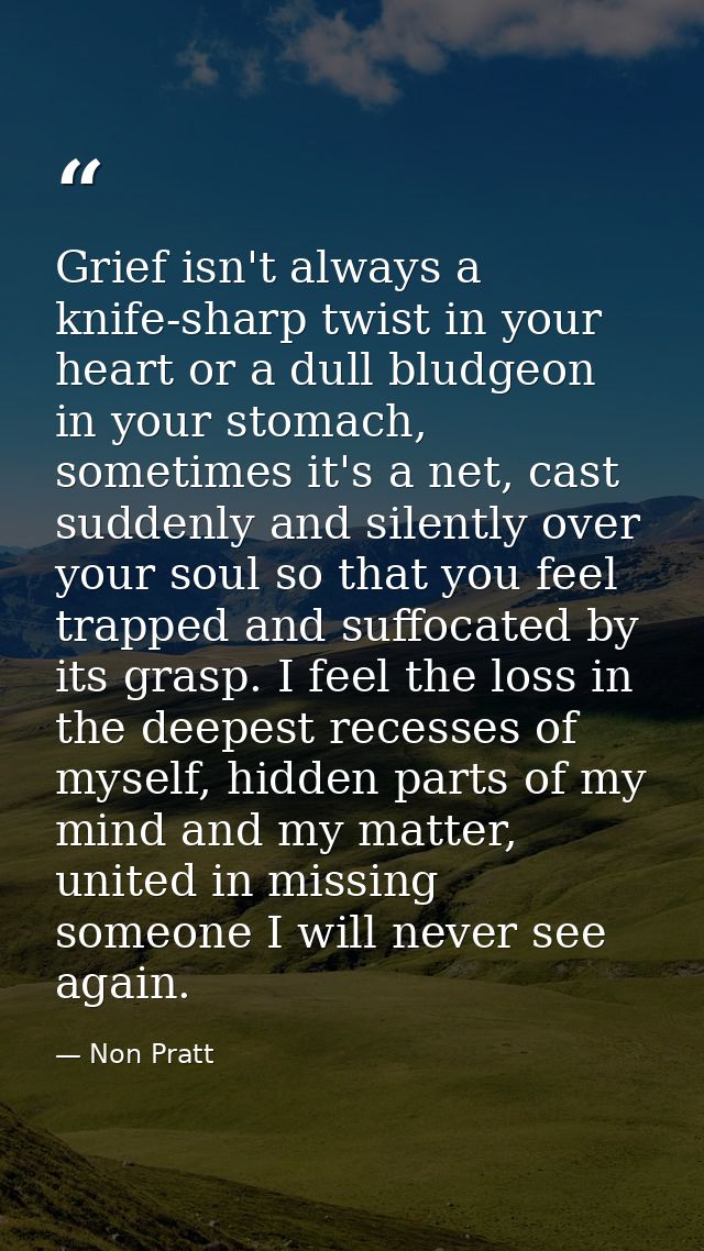 Grief isn't always a knife-sharp twist in your heart or a dull bludgeon in your stomach, sometimes it's a net, cast sudd — Non Pratt