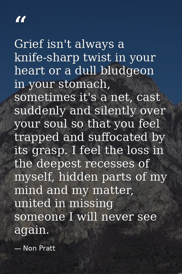 Grief isn't always a knife-sharp twist in your heart or a dull bludgeon in your stomach, sometimes it's a net, cast sudd — Non Pratt