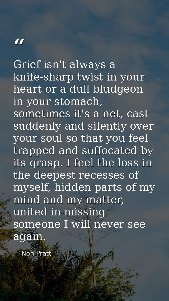 Grief isn't always a knife-sharp twist in your heart or a dull bludgeon in your stomach, sometimes it's a net, cast sudd — Non Pratt