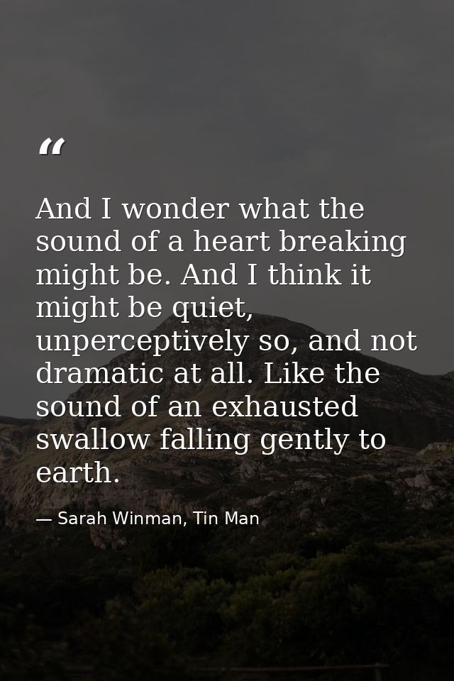 And I wonder what the sound of a heart breaking might be. And I think it might be quiet, unperceptively so, and not dram — Sarah Winman, Tin Man