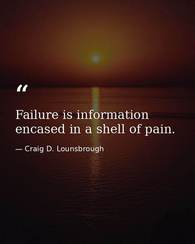 Failure is information encased in a shell of pain. — Craig D. Lounsbrough