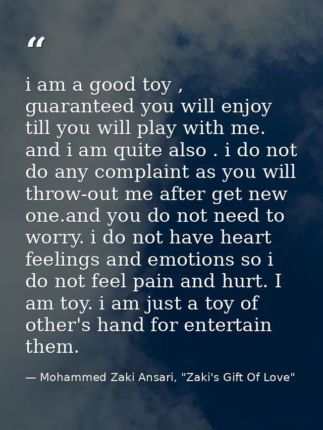 i am a good toy , guaranteed you will enjoy till you will play with me. and i am quite also . i do not do any complaint  — Mohammed Zaki Ansari, "Zaki's Gift Of Love"