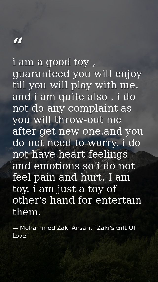 i am a good toy , guaranteed you will enjoy till you will play with me. and i am quite also . i do not do any complaint  — Mohammed Zaki Ansari, "Zaki's Gift Of Love"
