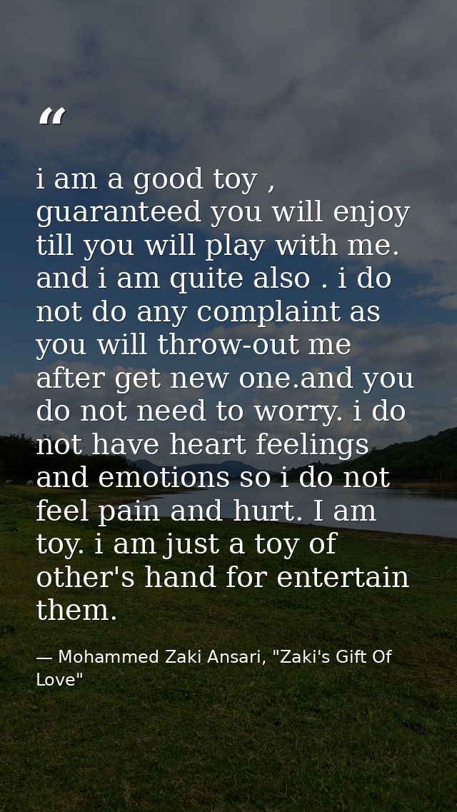 i am a good toy , guaranteed you will enjoy till you will play with me. and i am quite also . i do not do any complaint  — Mohammed Zaki Ansari, "Zaki's Gift Of Love"