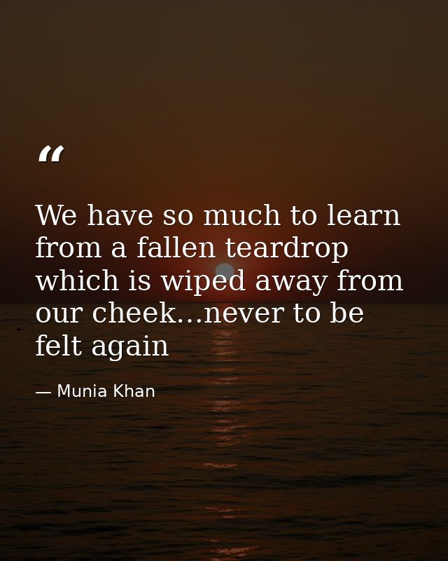 We have so much to learn from a fallen teardrop which is wiped away from our cheek…never to be felt again — Munia Khan