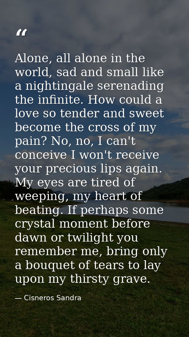 Alone, all alone in the world, sad and small like a nightingale serenading the infinite. How could a love so tender and  — Cisneros Sandra