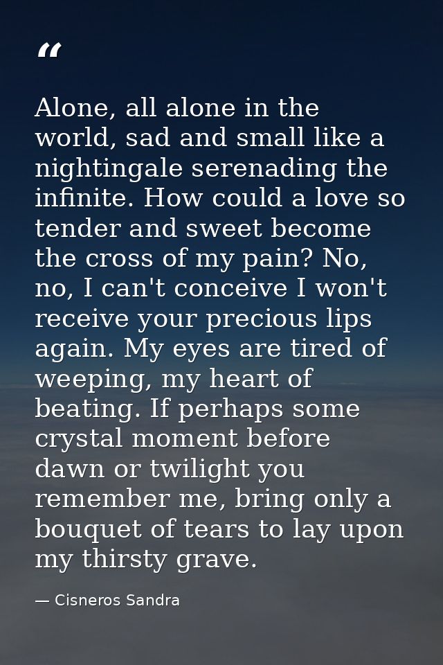 Alone, all alone in the world, sad and small like a nightingale serenading the infinite. How could a love so tender and  — Cisneros Sandra