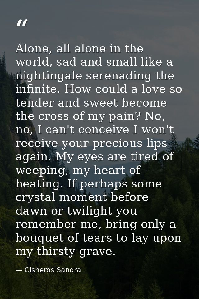 Alone, all alone in the world, sad and small like a nightingale serenading the infinite. How could a love so tender and  — Cisneros Sandra