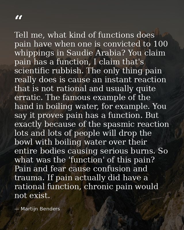 Tell me, what kind of functions does pain have when one is convicted to 100 whippings in Saudie Arabia? You claim pain h — Martijn Benders