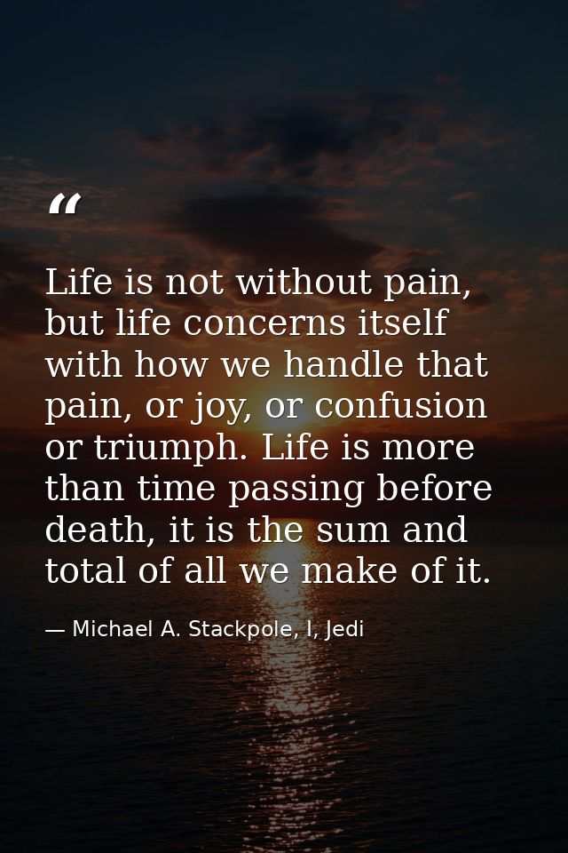 Life is not without pain, but life concerns itself with how we handle that pain, or joy, or confusion or triumph. Life i — Michael A. Stackpole, I, Jedi