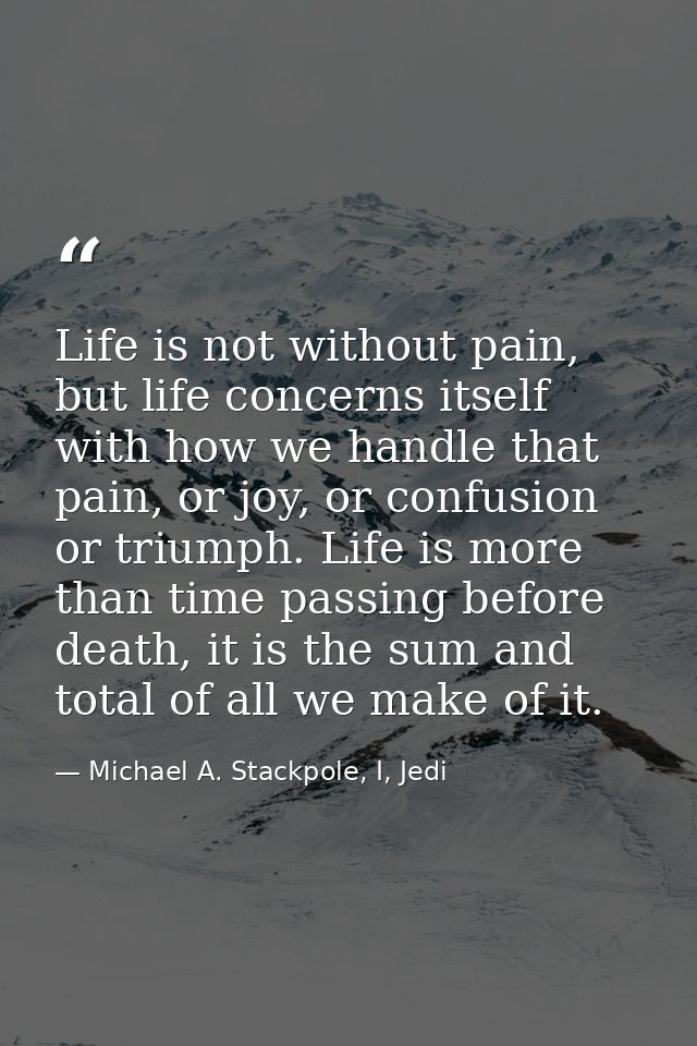 Life is not without pain, but life concerns itself with how we handle that pain, or joy, or confusion or triumph. Life i — Michael A. Stackpole, I, Jedi
