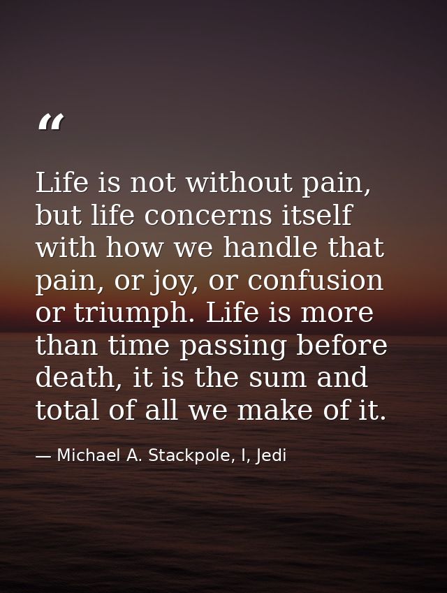 Life is not without pain, but life concerns itself with how we handle that pain, or joy, or confusion or triumph. Life i — Michael A. Stackpole, I, Jedi