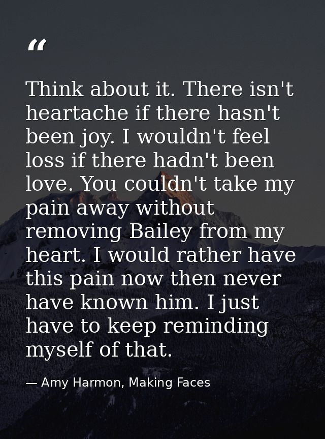 Think about it. There isn't heartache if there hasn't been joy. I wouldn't feel loss if there hadn't been love. You coul — Amy Harmon, Making Faces
