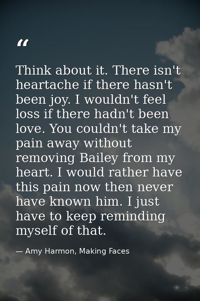 Think about it. There isn't heartache if there hasn't been joy. I wouldn't feel loss if there hadn't been love. You coul — Amy Harmon, Making Faces