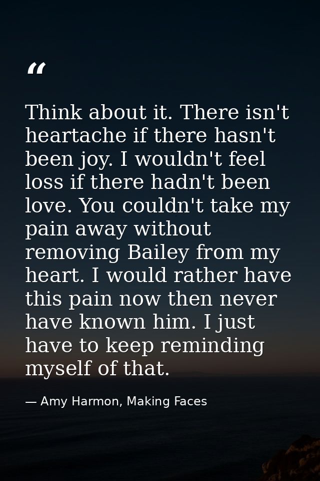 Think about it. There isn't heartache if there hasn't been joy. I wouldn't feel loss if there hadn't been love. You coul — Amy Harmon, Making Faces