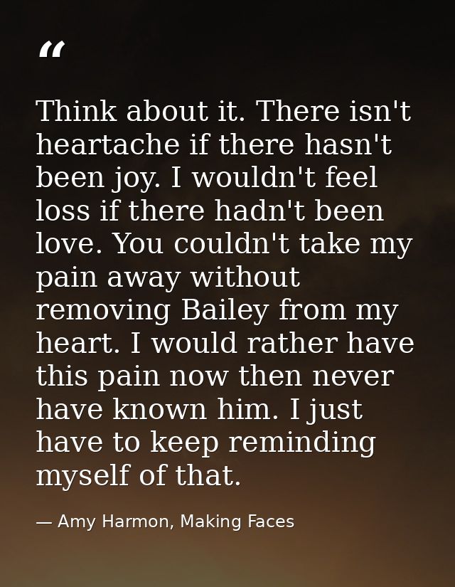 Think about it. There isn't heartache if there hasn't been joy. I wouldn't feel loss if there hadn't been love. You coul — Amy Harmon, Making Faces