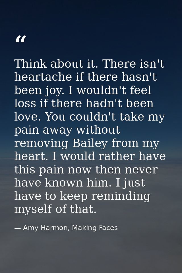 Think about it. There isn't heartache if there hasn't been joy. I wouldn't feel loss if there hadn't been love. You coul — Amy Harmon, Making Faces