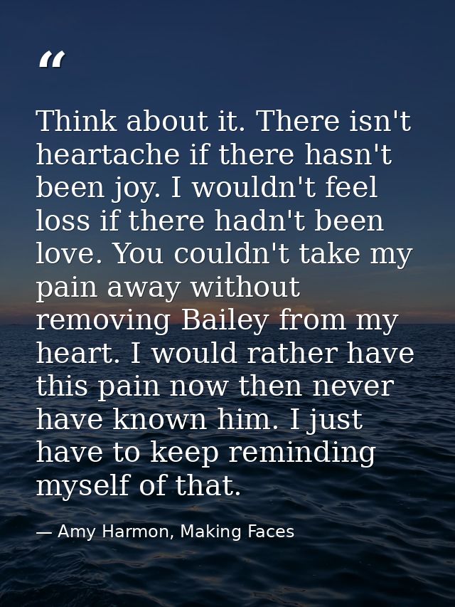 Think about it. There isn't heartache if there hasn't been joy. I wouldn't feel loss if there hadn't been love. You coul — Amy Harmon, Making Faces