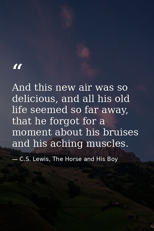 And this new air was so delicious, and all his old life seemed so far away, that he forgot for a moment about his bruise — C.S. Lewis, The Horse and His Boy