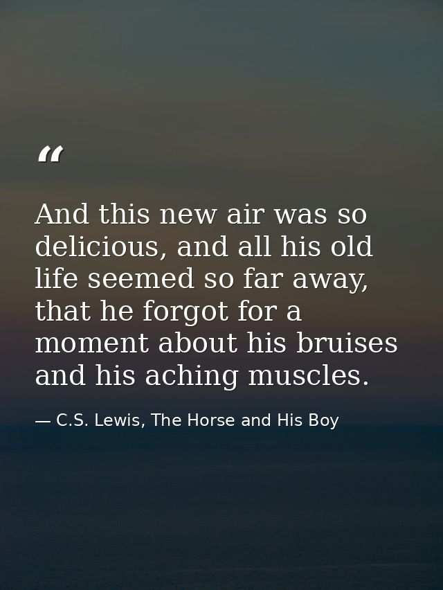 And this new air was so delicious, and all his old life seemed so far away, that he forgot for a moment about his bruise — C.S. Lewis, The Horse and His Boy