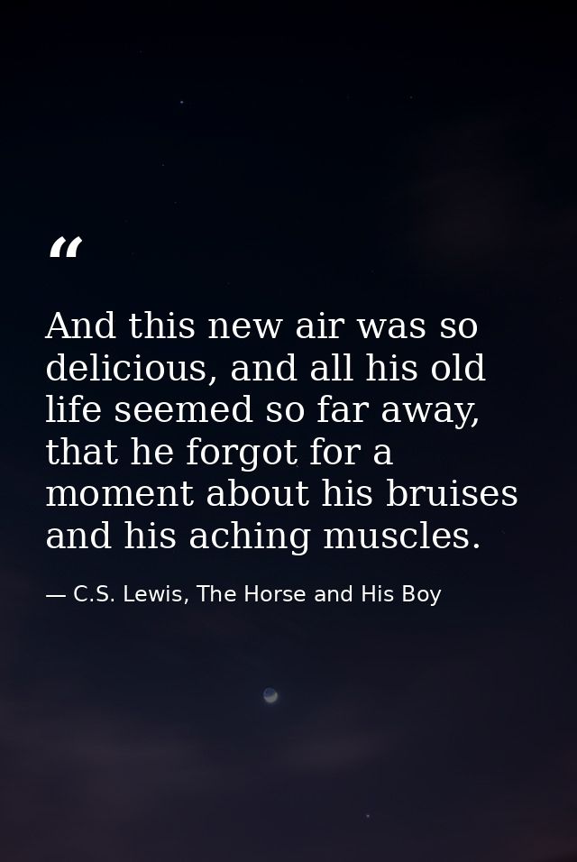 And this new air was so delicious, and all his old life seemed so far away, that he forgot for a moment about his bruise — C.S. Lewis, The Horse and His Boy