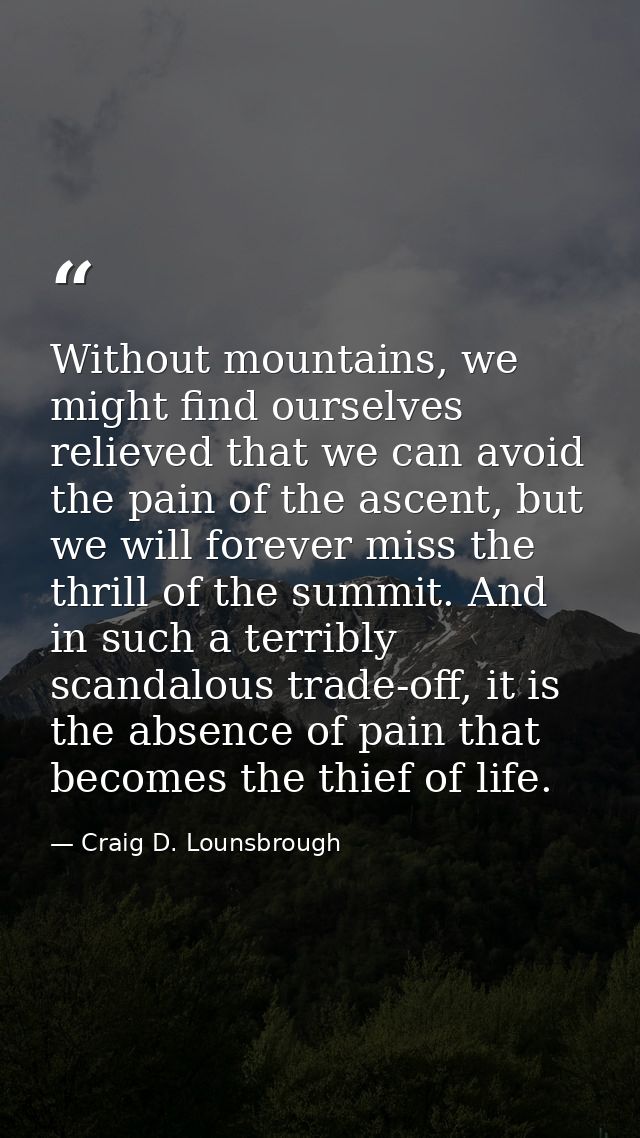 Without mountains, we might find ourselves relieved that we can avoid the pain of the ascent, but we will forever miss t — Craig D. Lounsbrough