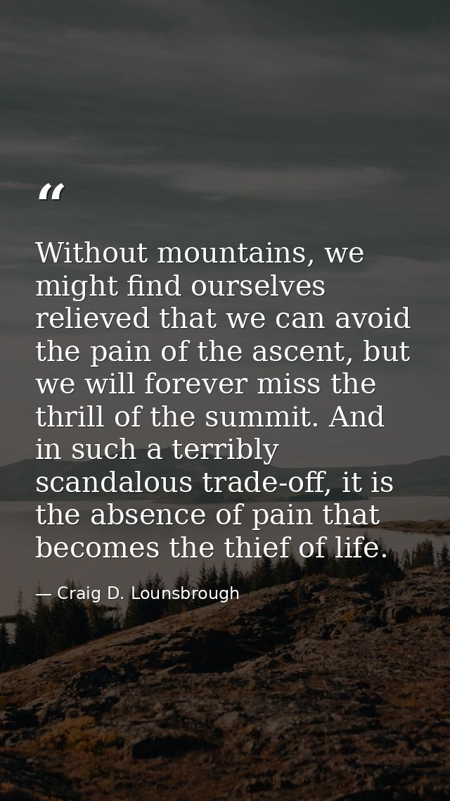 Without mountains, we might find ourselves relieved that we can avoid the pain of the ascent, but we will forever miss t — Craig D. Lounsbrough