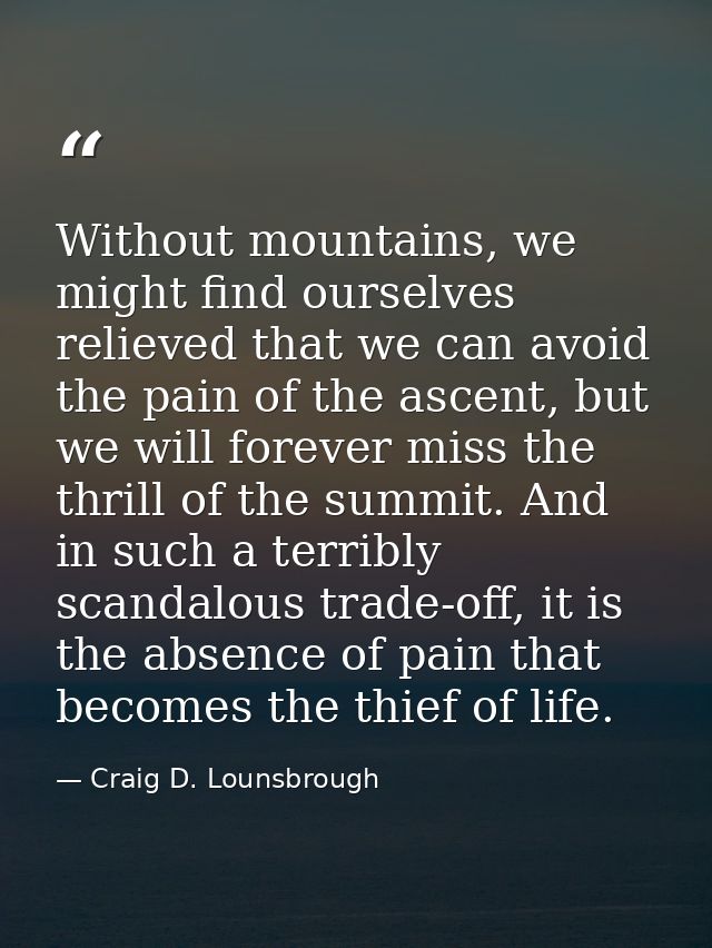 Without mountains, we might find ourselves relieved that we can avoid the pain of the ascent, but we will forever miss t — Craig D. Lounsbrough