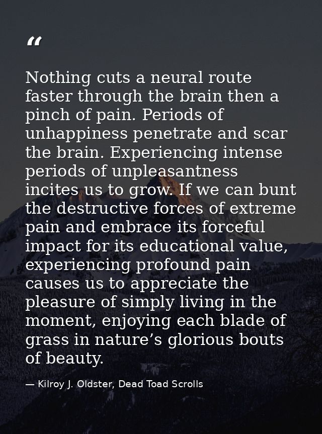 Nothing cuts a neural route faster through the brain then a pinch of pain. Periods of unhappiness penetrate and scar the — Kilroy J. Oldster, Dead Toad Scrolls