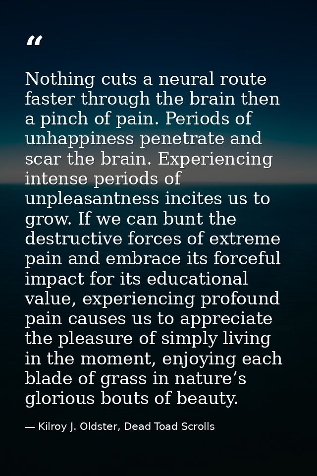 Nothing cuts a neural route faster through the brain then a pinch of pain. Periods of unhappiness penetrate and scar the — Kilroy J. Oldster, Dead Toad Scrolls